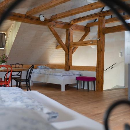 Appartement Mlyn Salajna à Dolni Zandov Extérieur photo
