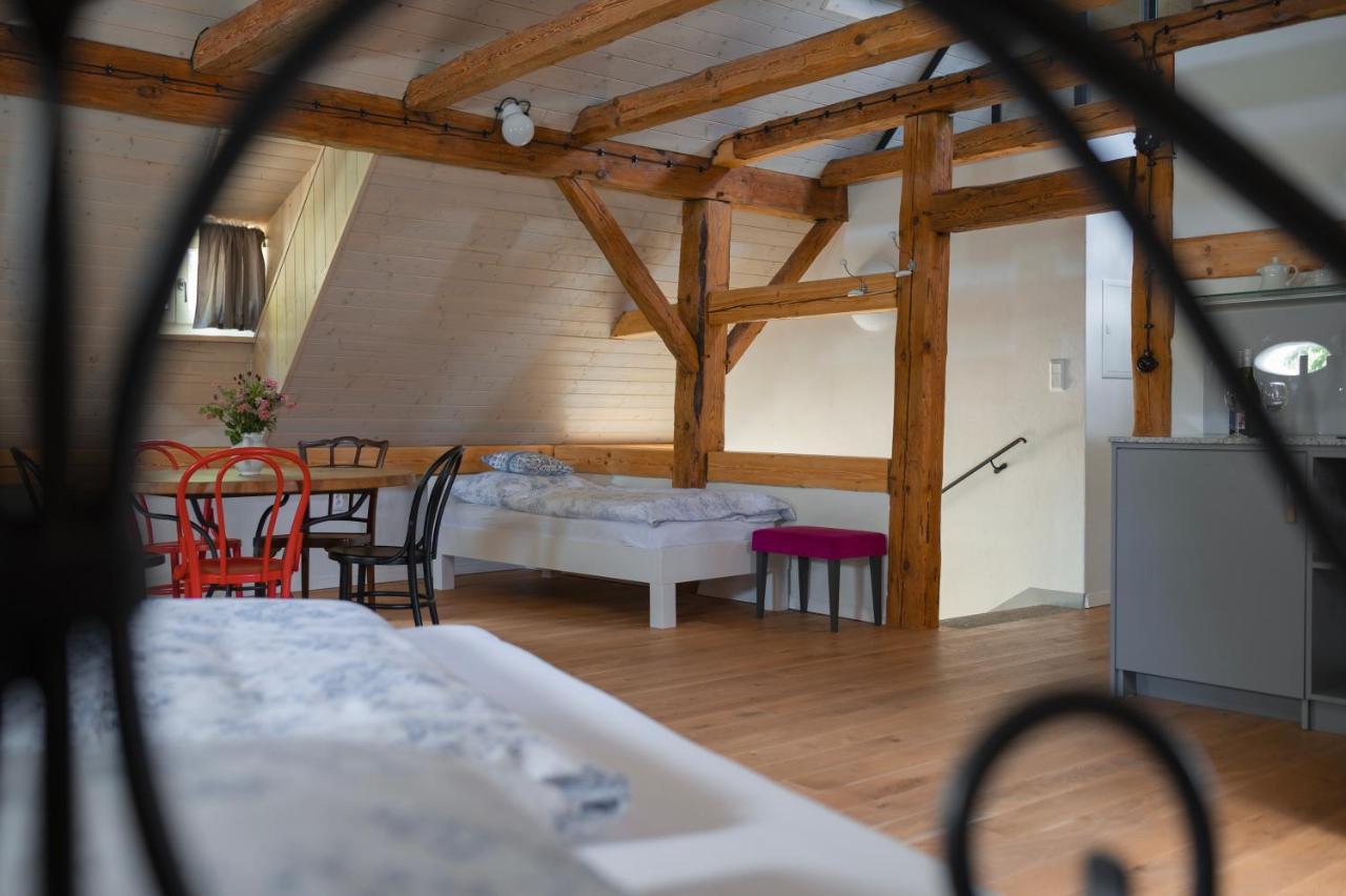 Appartement Mlyn Salajna à Dolni Zandov Extérieur photo