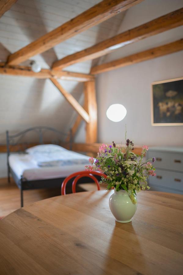 Appartement Mlyn Salajna à Dolni Zandov Extérieur photo