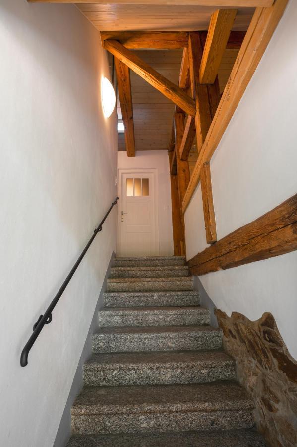 Appartement Mlyn Salajna à Dolni Zandov Extérieur photo