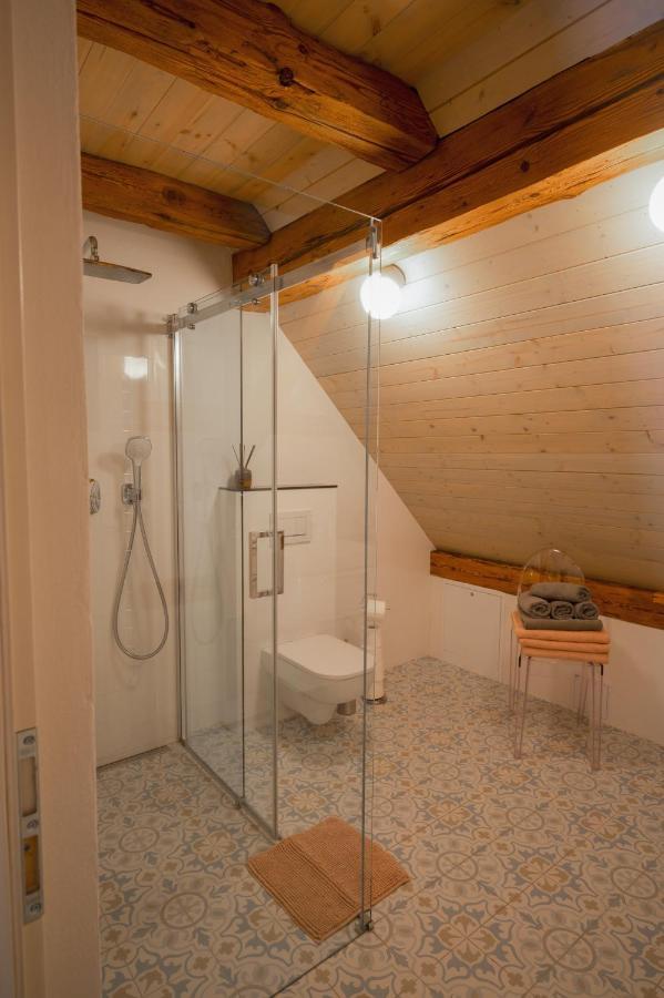 Appartement Mlyn Salajna à Dolni Zandov Extérieur photo