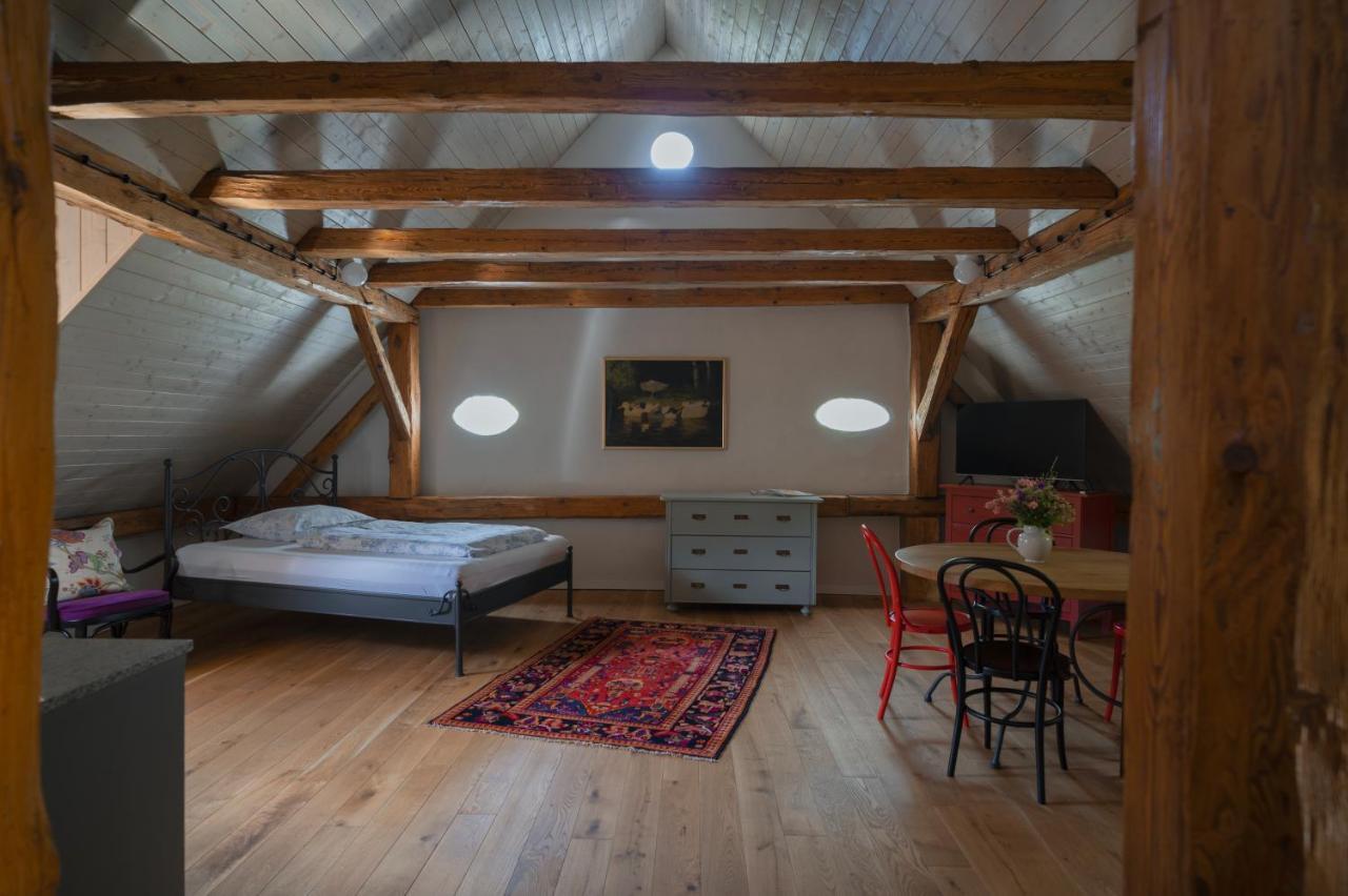 Appartement Mlyn Salajna à Dolni Zandov Extérieur photo